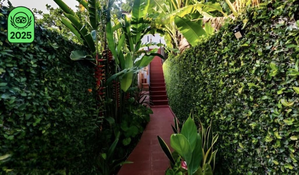 Por qué elegir Casa Herenia y Pedro en Viñales: confort, seguridad y experiencia garantizada